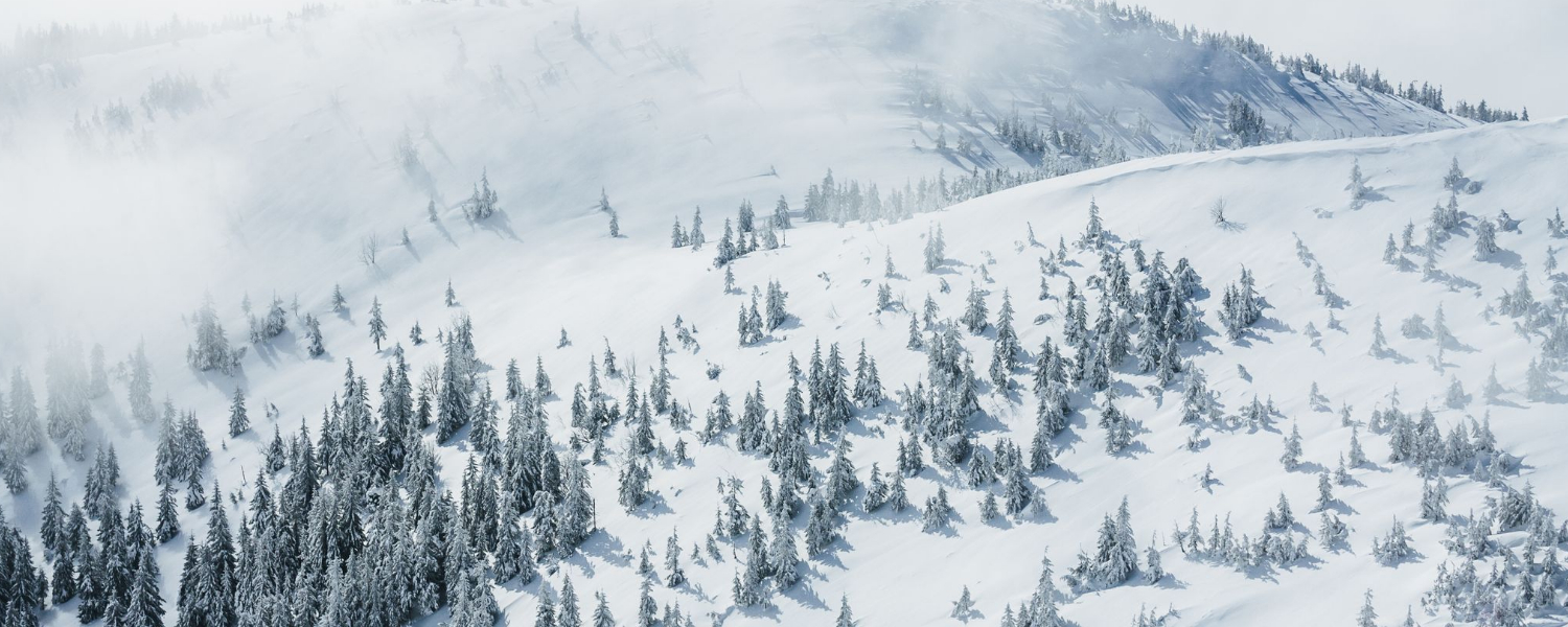 Winter Mountain Scene
